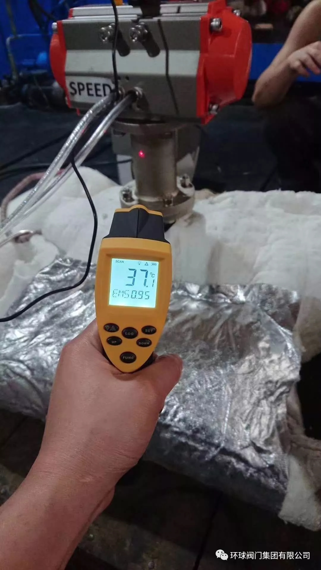 1560493537338091549.jpg 5.webp.jpg