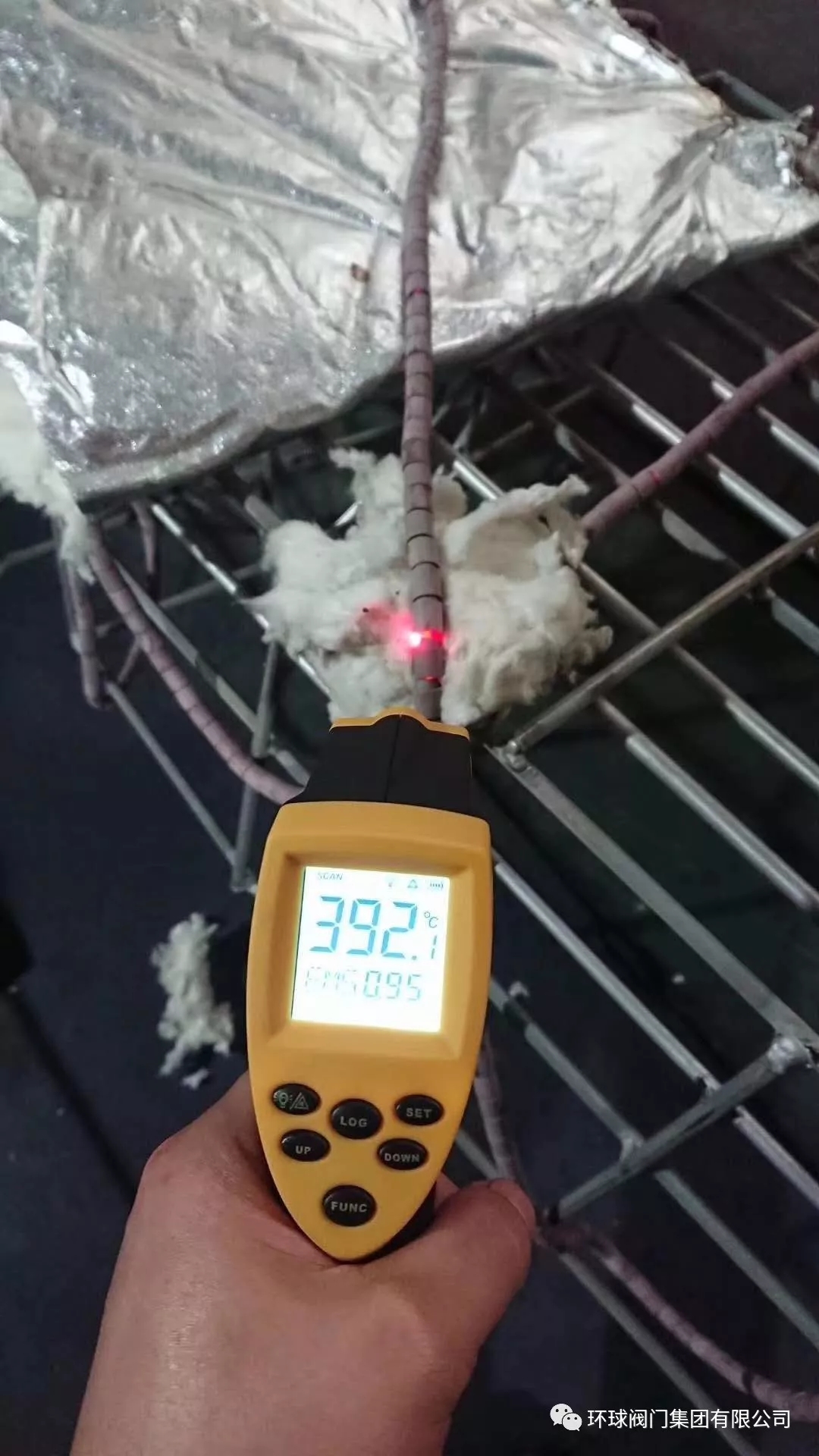 1560493562079029801.jpg 6.webp.jpg