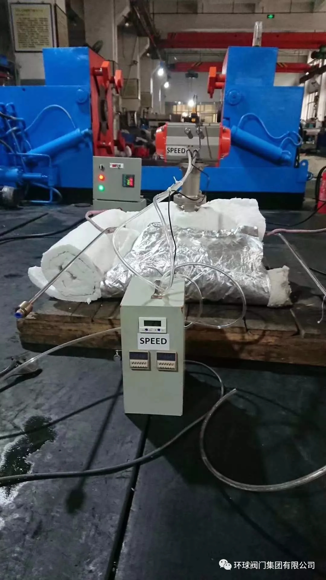 1560493604973078485.jpg 4.webp.jpg