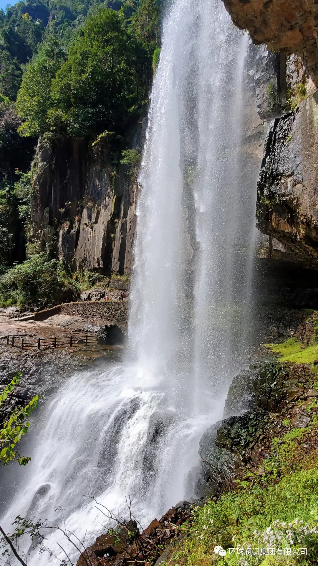 1571726760205054166.jpg 04.webp.jpg