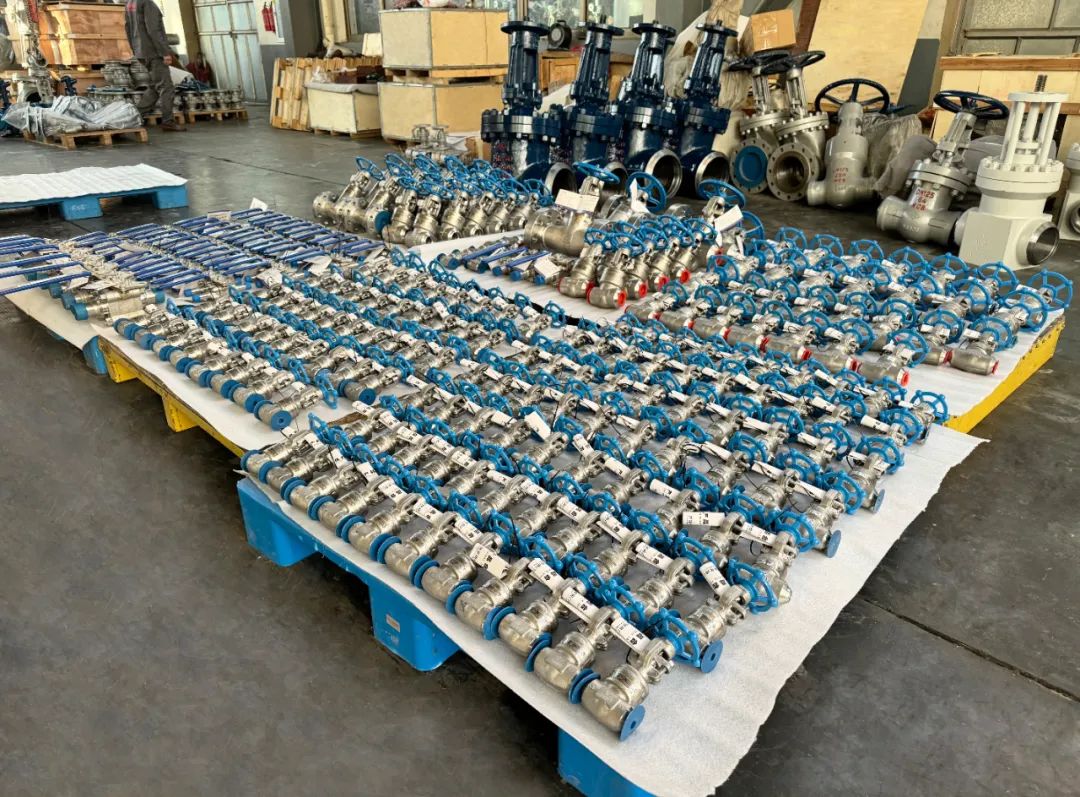 1703575238542017030.jpg 22.jpg